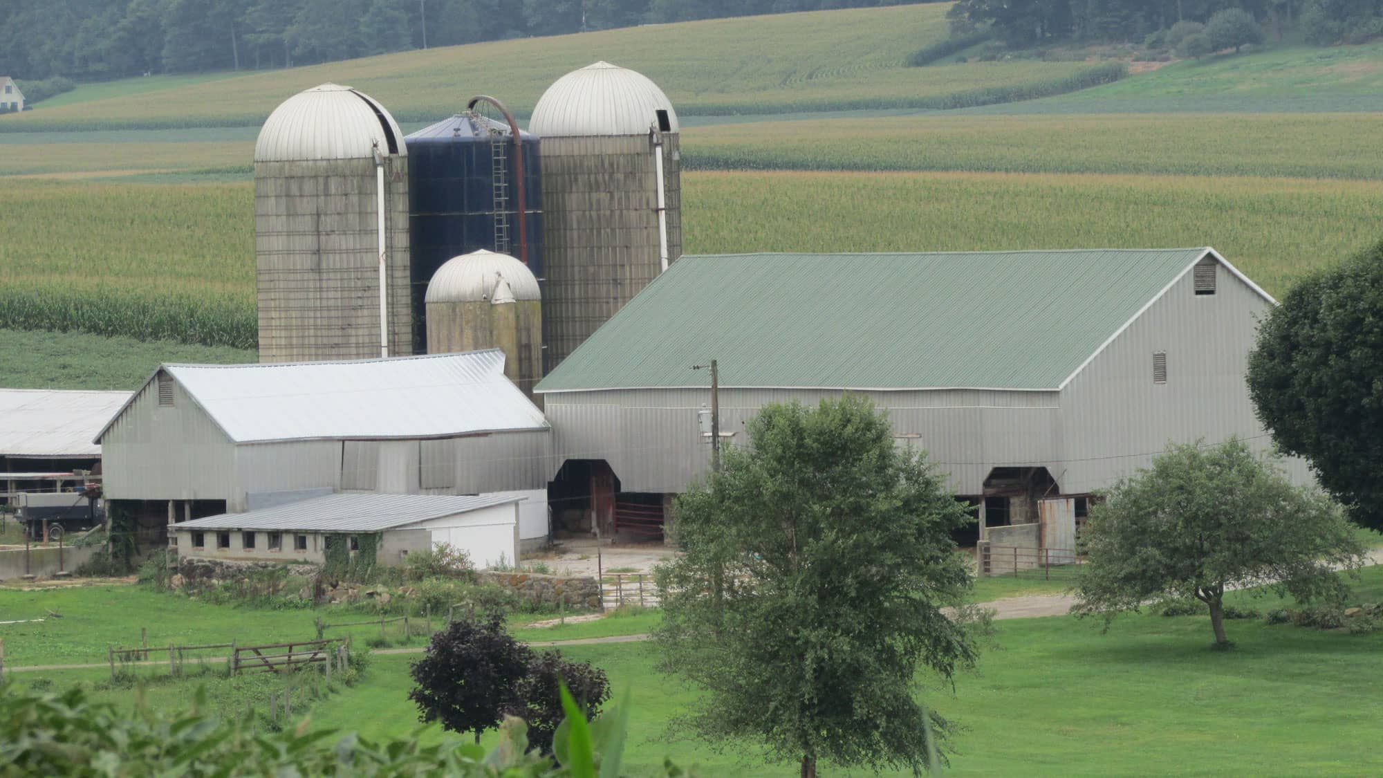 Farm near Mt. Airy in Carroll County, Maryland near Home Instead of Frederick