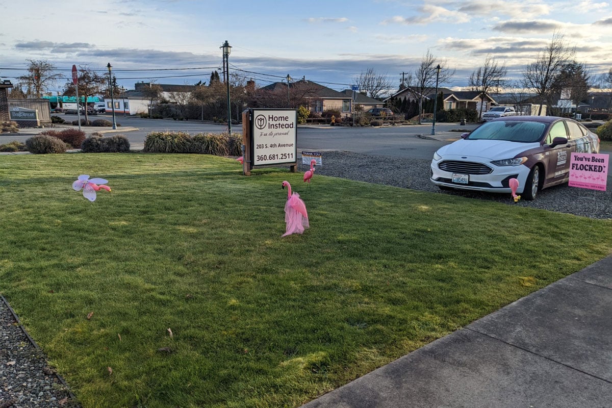 Home Instead Sequim, WA flocked hero