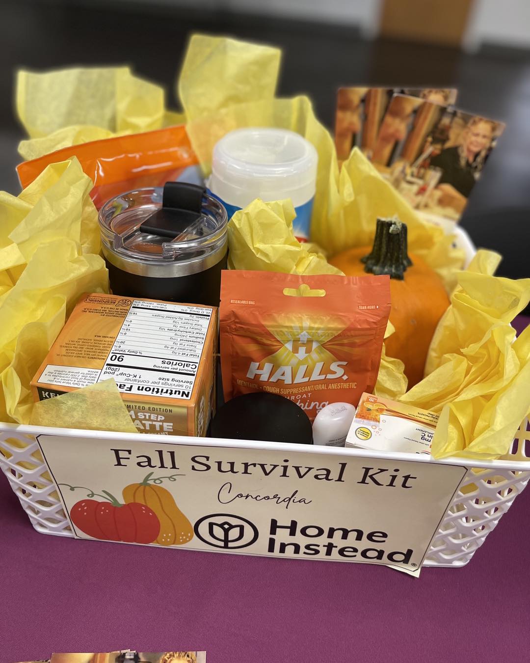 Home Instead Fall urvival Kit From Wellness Fair in Lincoln, NE.jpg