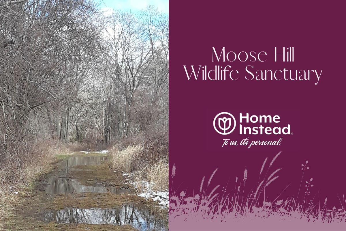 Home Instead Takes a Nature Walk Through Moose Hill Wildlife Sanctuary - hero