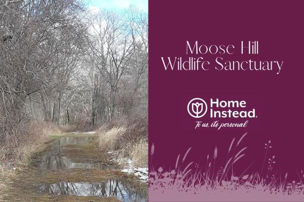 Home Instead Takes a Nature Walk Through Moose Hill Wildlife Sanctuary - hero