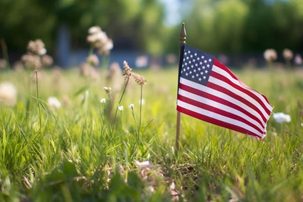 Home Instead Honors Veterans in Crystal Lake, IL