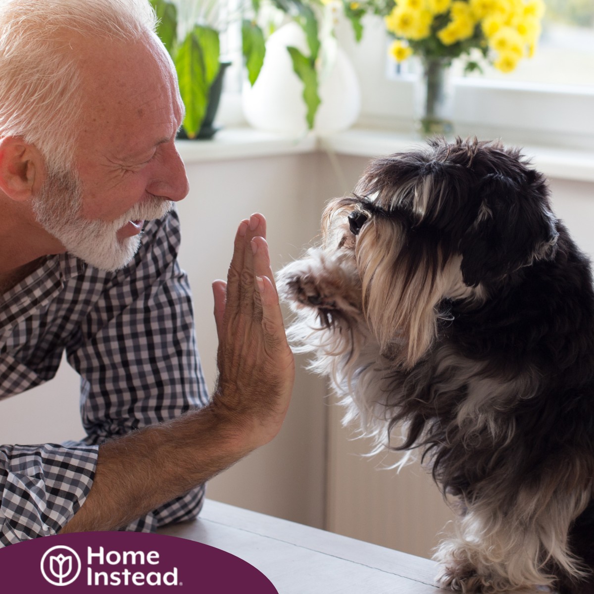 A senior man “high-fives” his pet dog, showing the type of close relationship professional caregivers should be aware of when caring for clients.