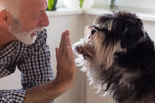 A senior man “high-fives” his pet dog, showing the type of close relationship professional caregivers should be aware of when caring for clients.