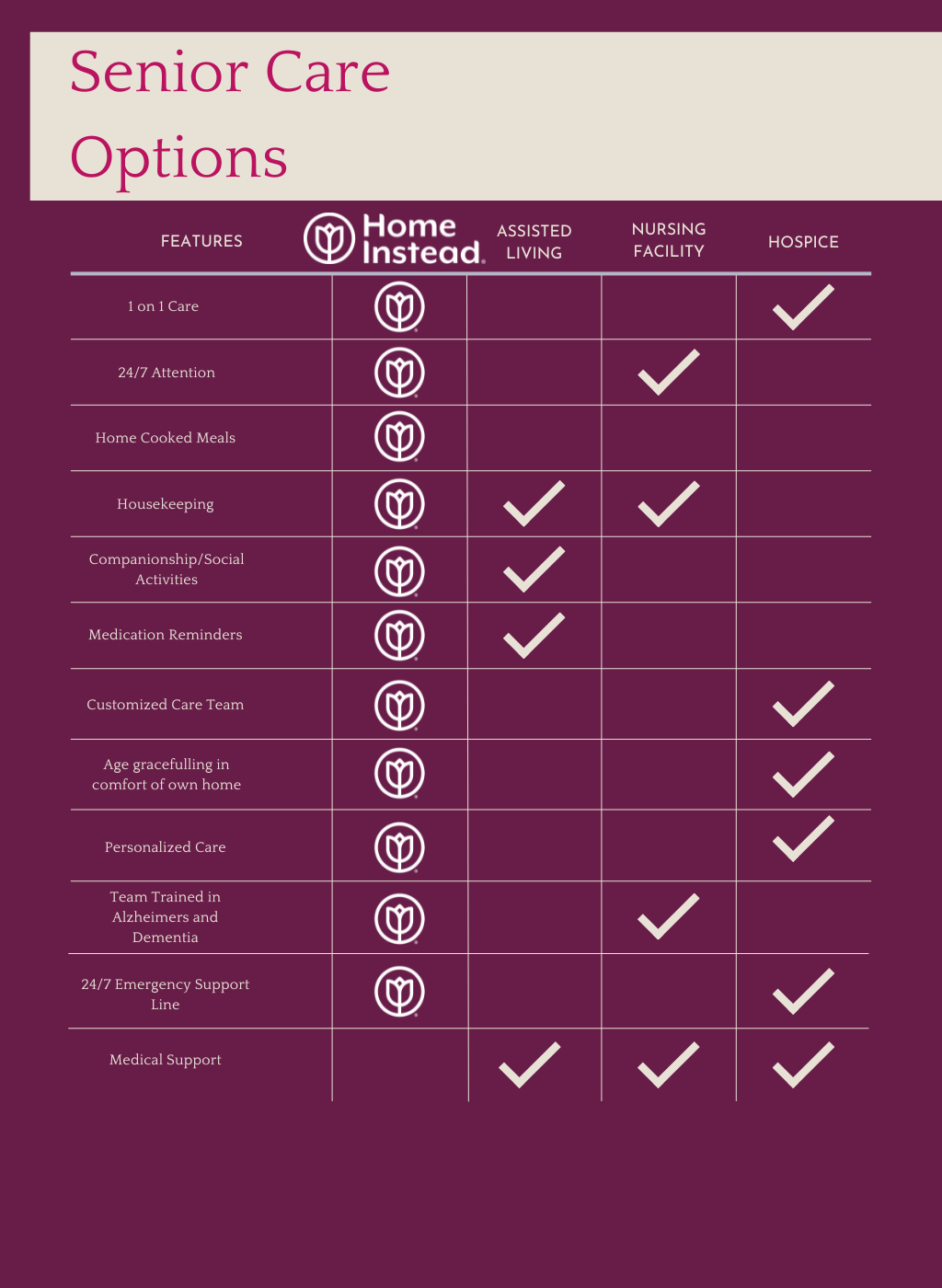 Home Instead Comparison Table 2